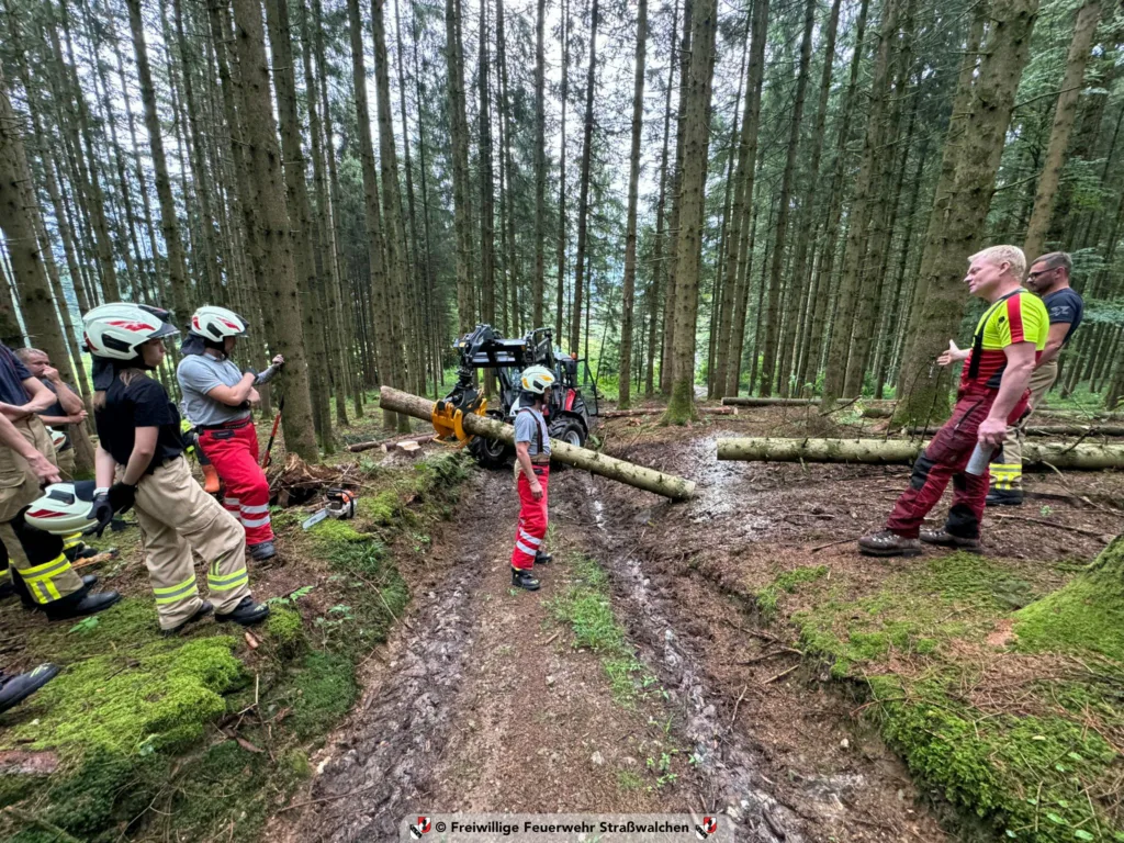 20240627 SicherUmgangMotorsaege 3