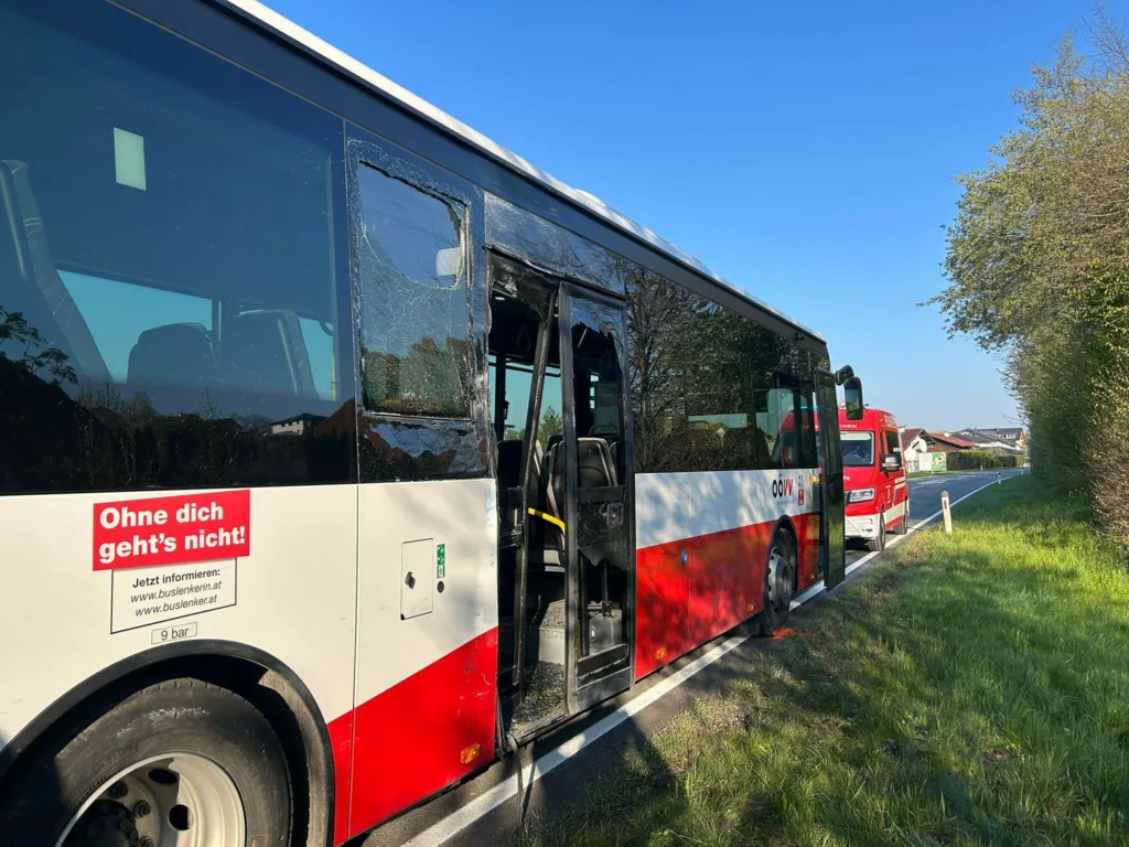 Bus